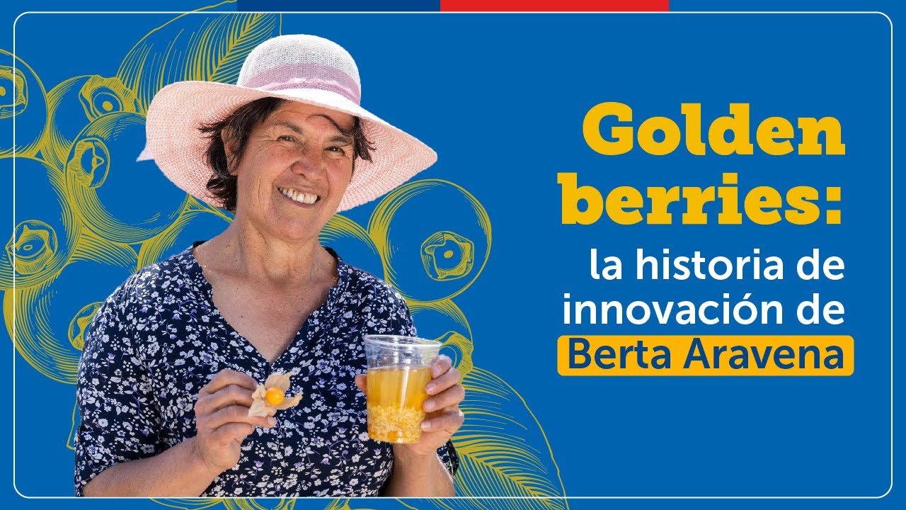 Cargar video: 